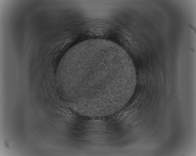 X0000098121297200804251442