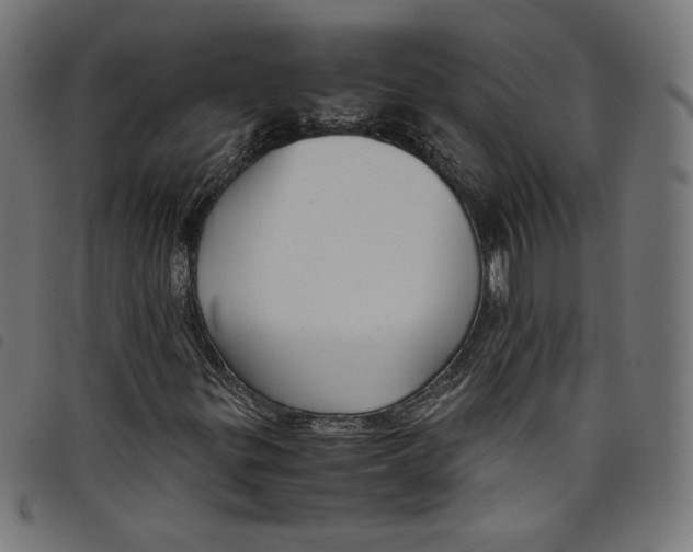 X0000098121299200804251442