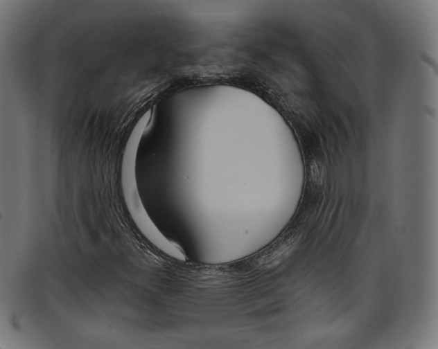 X0000098121300200804251442
