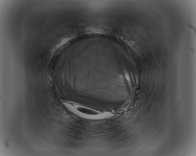 X0000098121303200804251442
