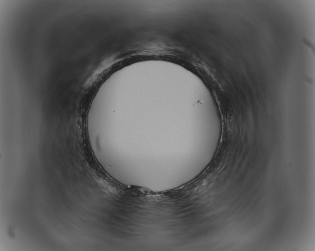 X0000098121304200804251442