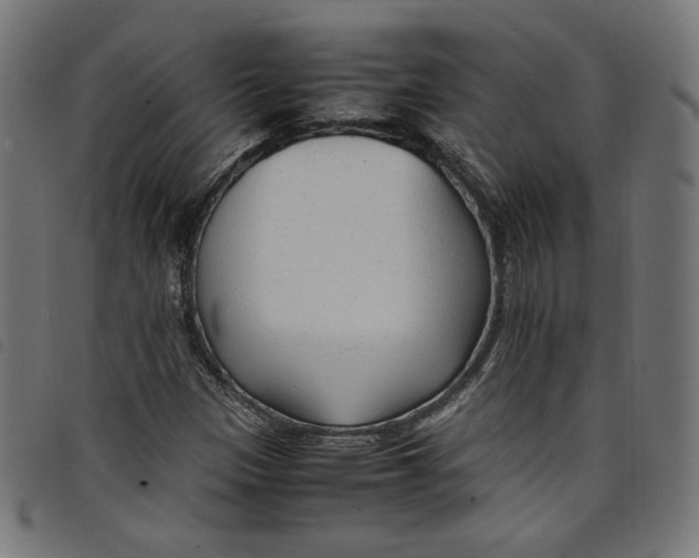 X0000098121305200804251442