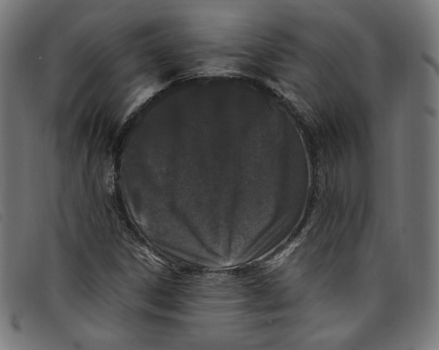X0000098121306200804251442