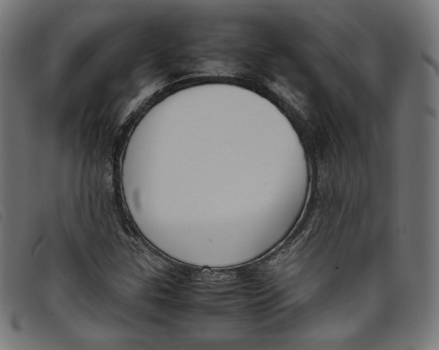X0000098121307200804251442