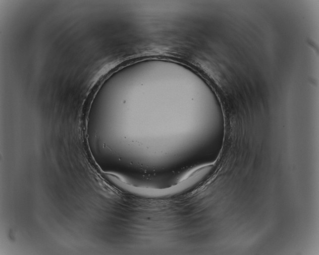 X0000098121308200804251442