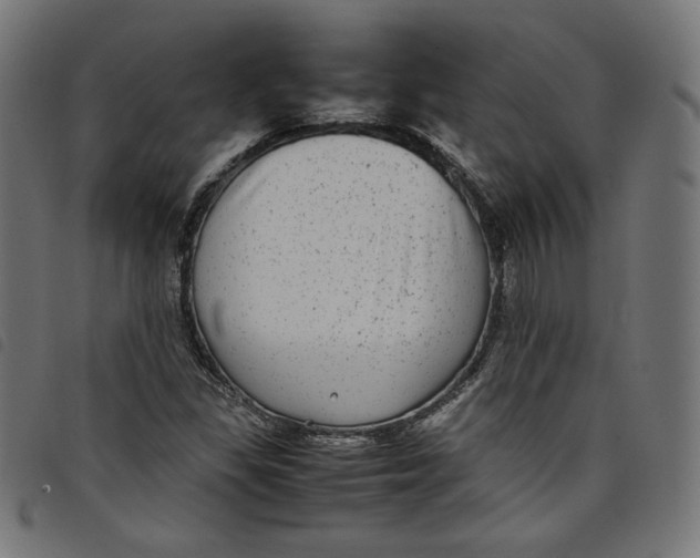 X0000098121309200804251442