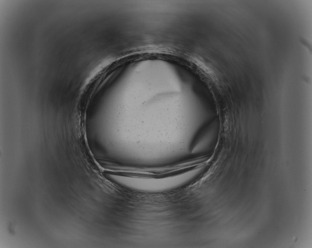X0000098121310200804251442
