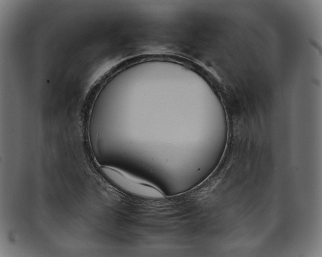 X0000098121311200804251442