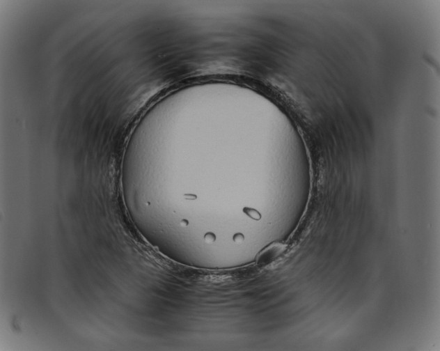 X0000098121313200804251442