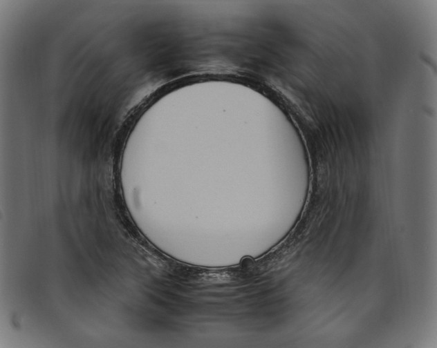 X0000098121315200804251442