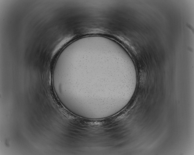 X0000098121317200804251442