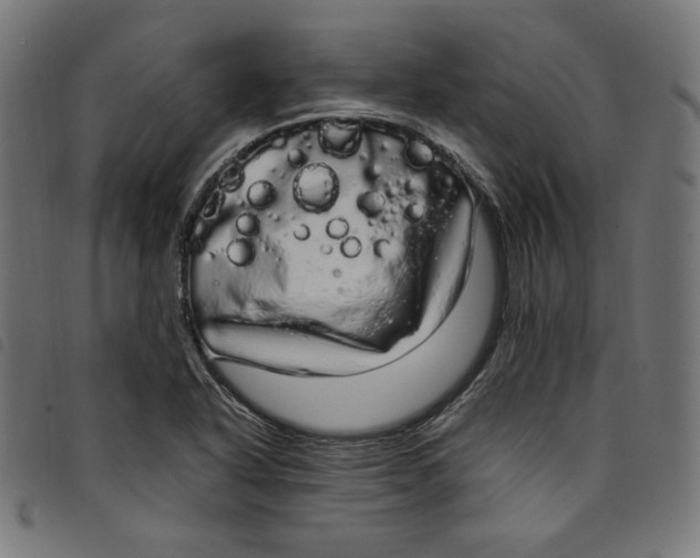 X0000098121318200804251442