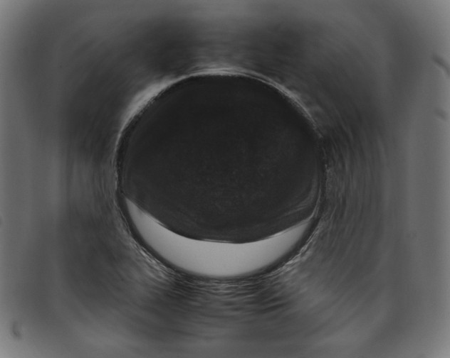 X0000098121319200804251442