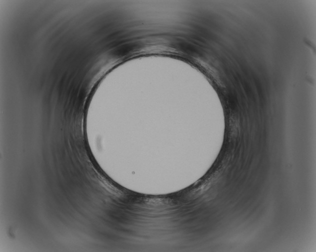X0000098121322200804251442