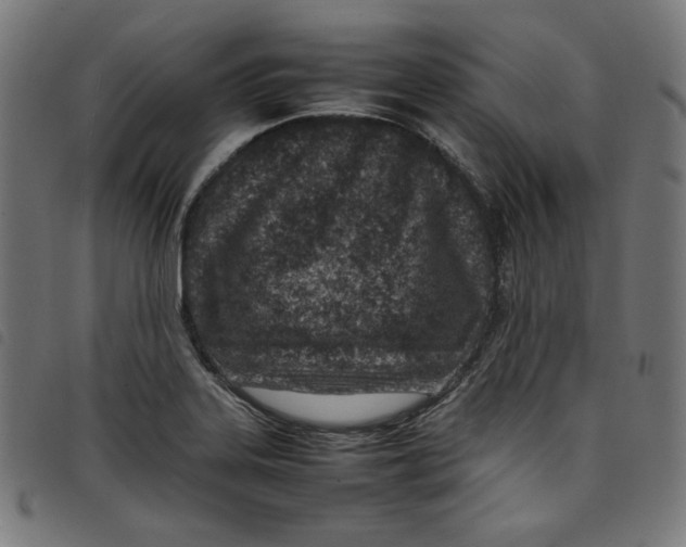 X0000098121323200804251442