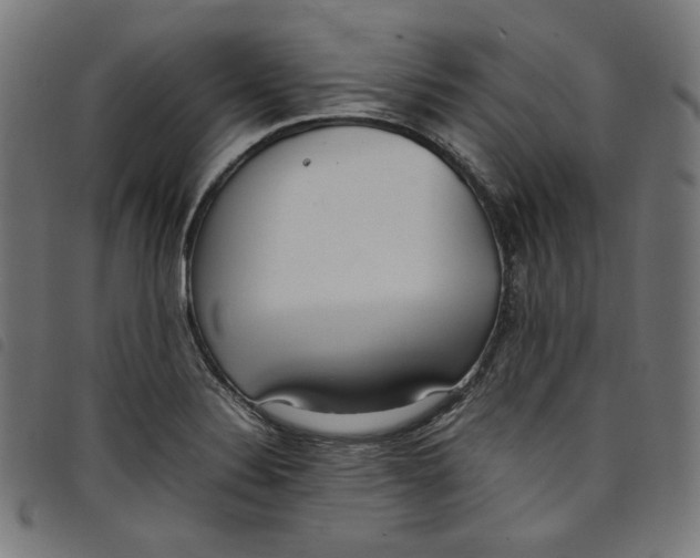 X0000098121324200804251442