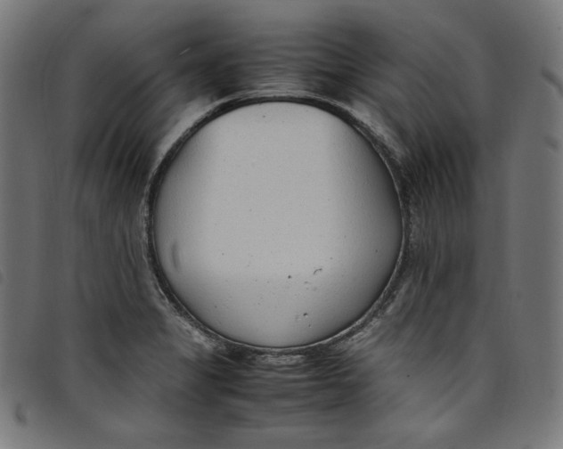 X0000098121325200804251443