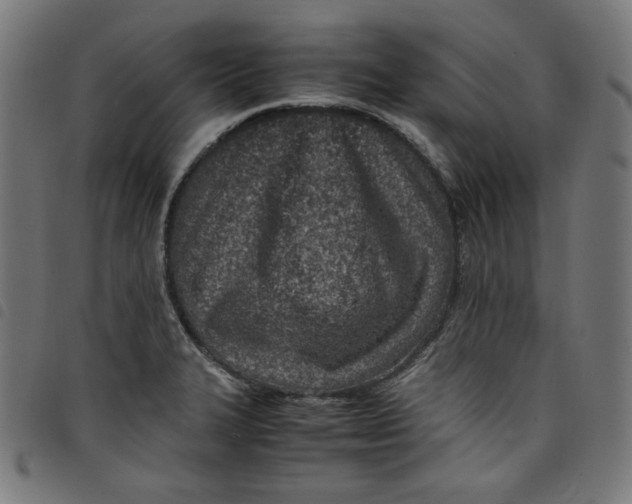 X0000098121327200804251443