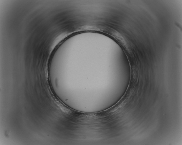 X0000098121328200804251443