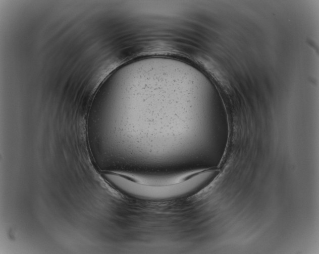 X0000098121329200804251443