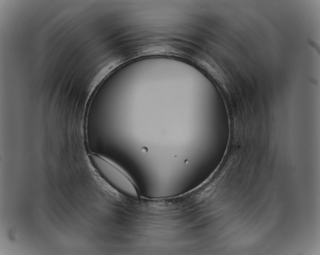 X0000098121330200804251443