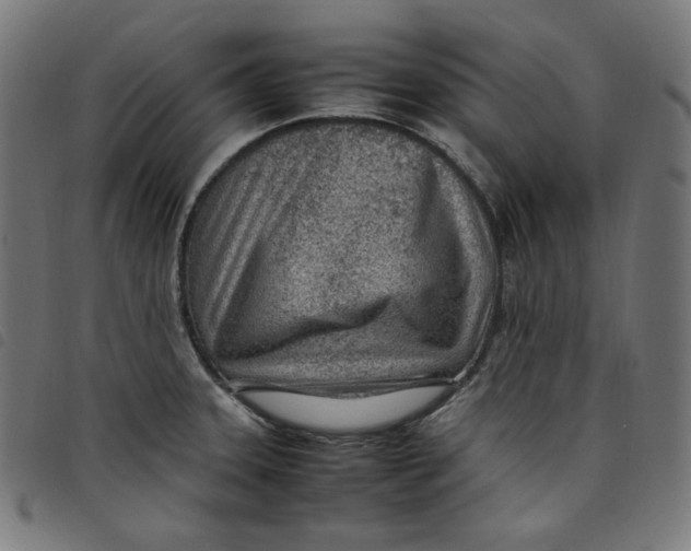 X0000098121331200804251443