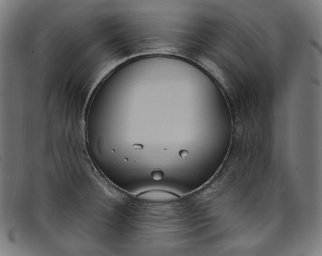 X0000098121332200804251443