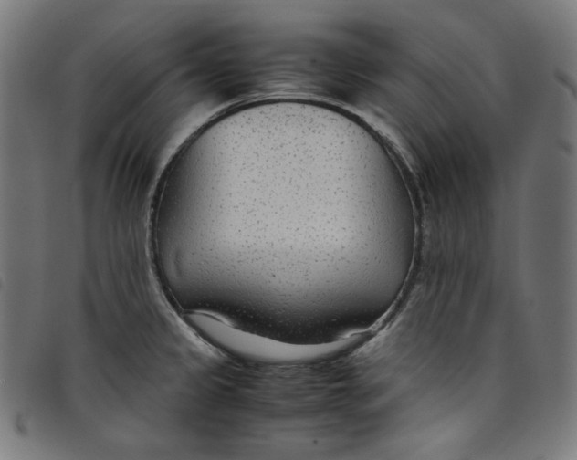 X0000098121333200804251443