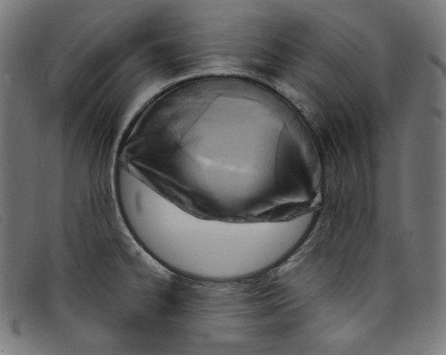 X0000098121334200804251443