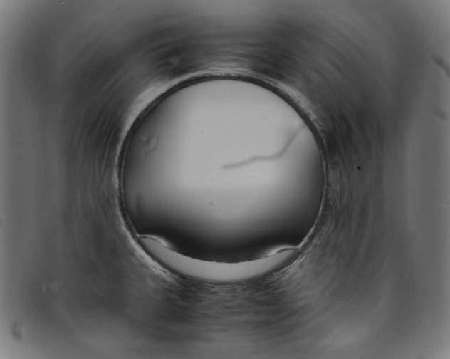 X0000098121335200804251443