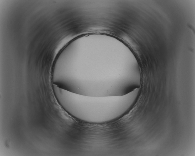 X0000098121336200804251443