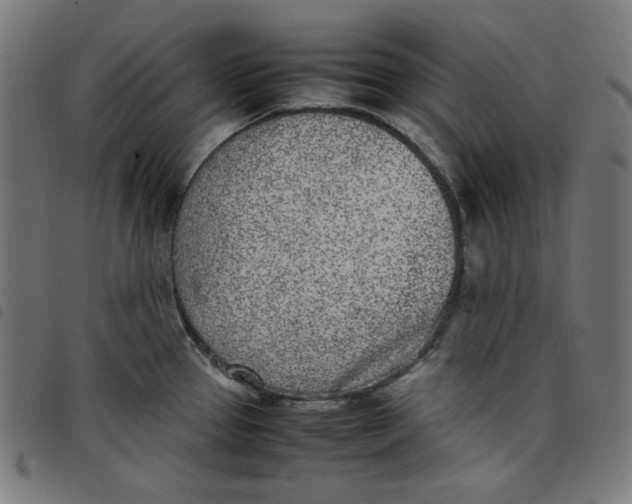 X0000098121337200804251443