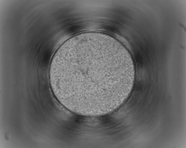 X0000098121338200804251443