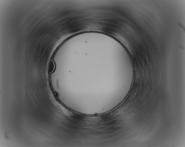 X0000098121339200804251443