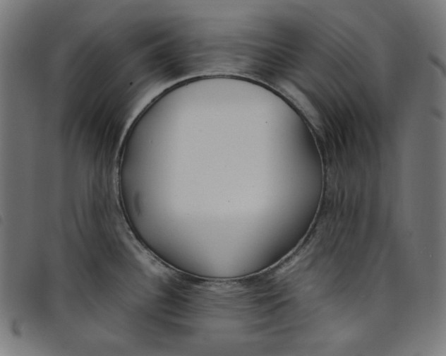 X0000098121340200804251443