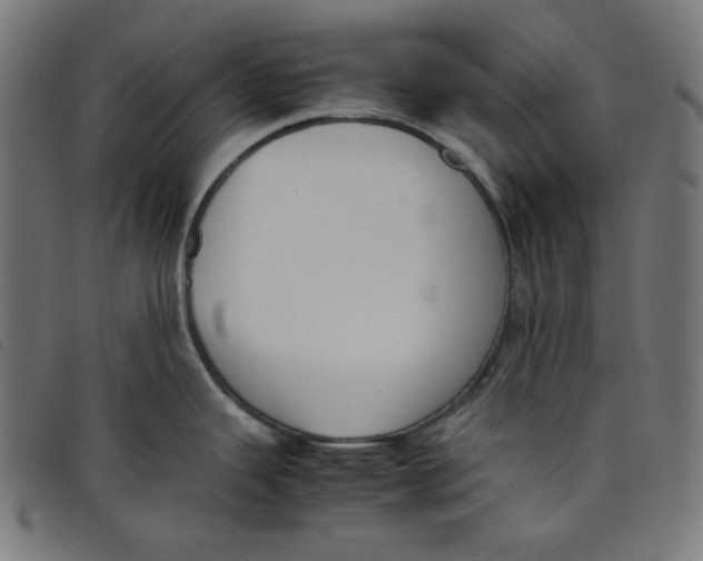 X0000098121343200804251443