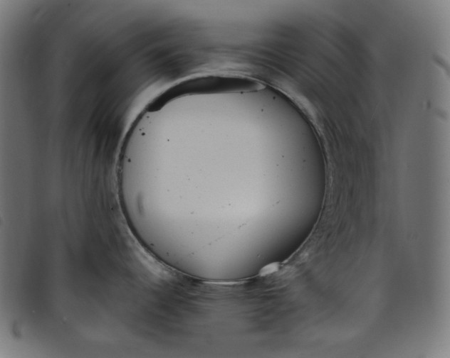 X0000098121344200804251443