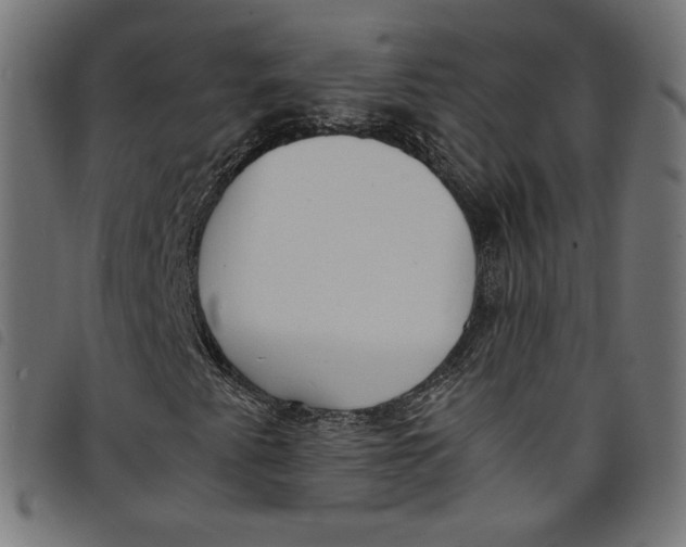 X0000098121345200804251442