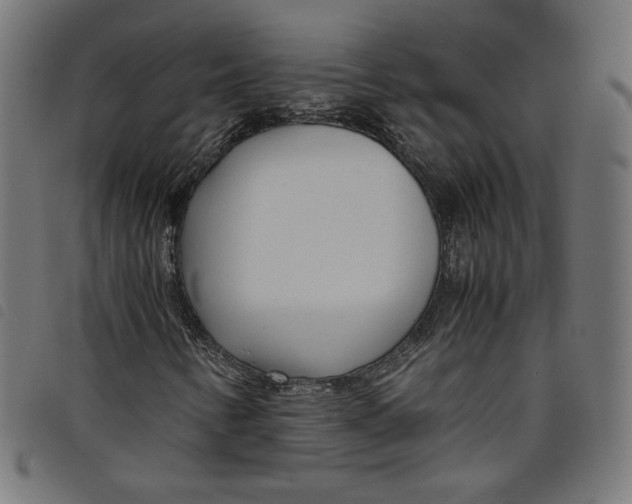 X0000098121346200804251442