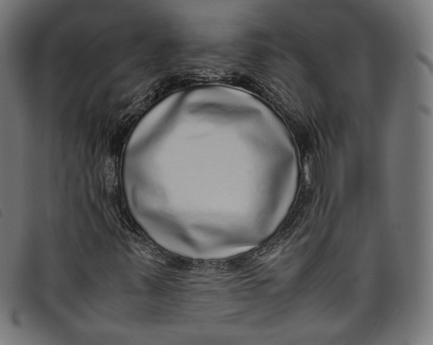 X0000098121347200804251442