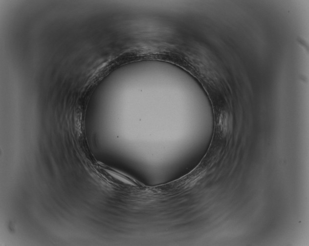 X0000098121348200804251442