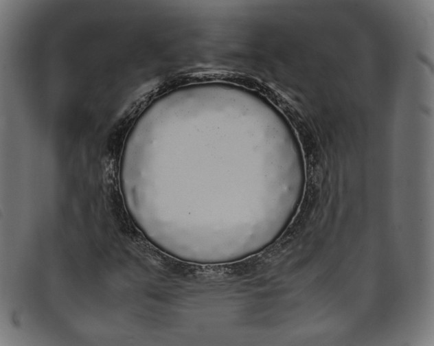 X0000098121351200804251442