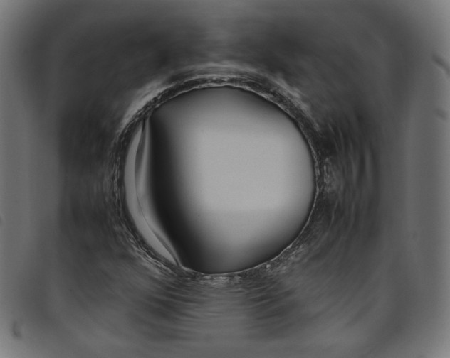 X0000098121352200804251442