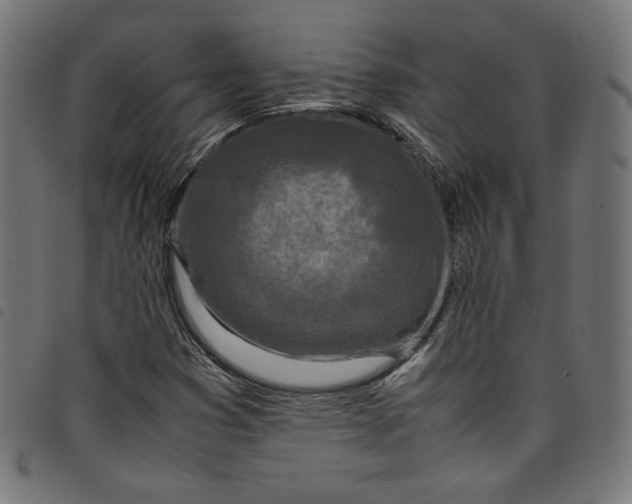 X0000098121353200804251442