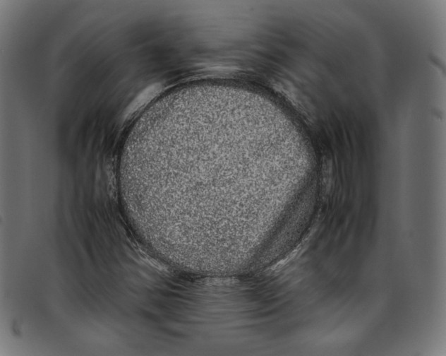 X0000098121354200804251442