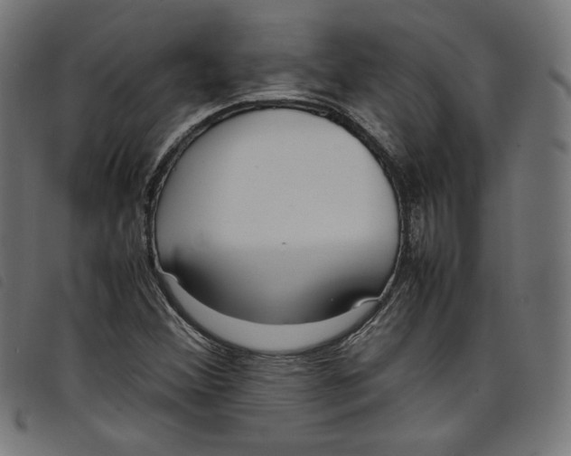 X0000098121356200804251442