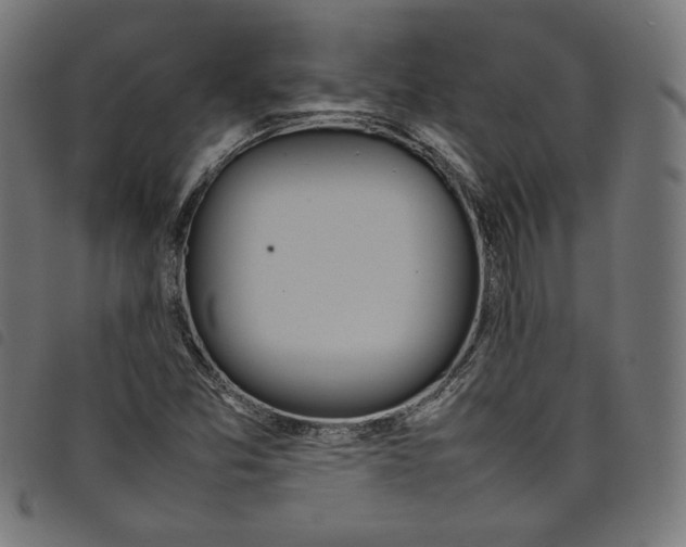 X0000098121357200804251442