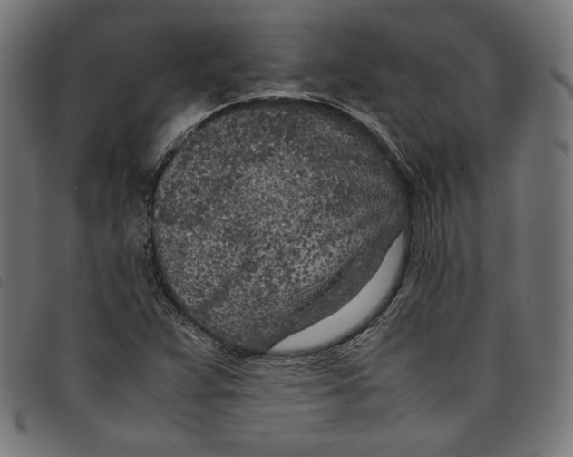X0000098121359200804251442