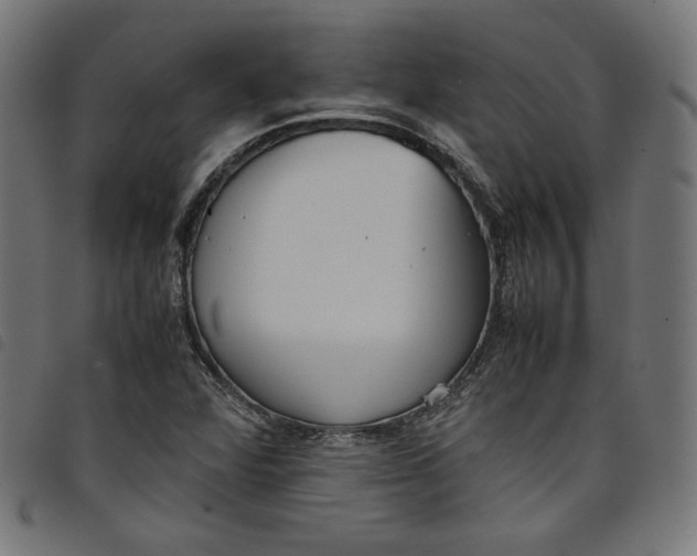 X0000098121360200804251442