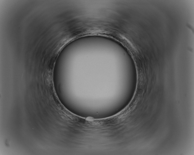 X0000098121361200804251442